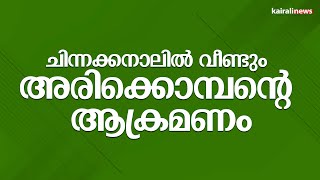 ചിന്നക്കനാലിൽ വീണ്ടും അരിക്കൊമ്പന്റെ ആക്രമണം|ARIKKOMBAN|