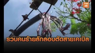 รวบ 3 คนร้ายลักลอบตัดสายเคเบิลทีโอที | 20 มิ.ย.62 | TNN ข่าวเช้า