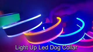 2022 New Dog Products USB Rechargeable Led Dog Collar Night Safety Flashing Glow Led Dog Collar