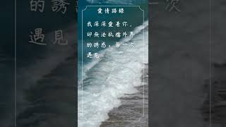 每日一句愛情語錄 浪漫愛情語錄分享 心動的愛情句子 愛的名言 EP 62 #shorts #自我治癒 #愛的名言 #浪漫 #傷感語錄