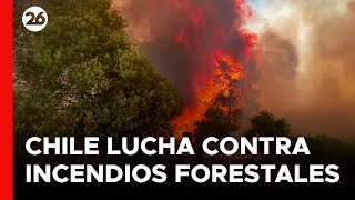CHILE | Bomberos luchan contra incendios forestales