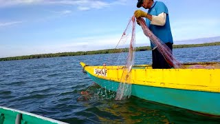 pukat udang laut #youtube #youtubeshorts