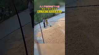 远亲不如近邻。大人不在家突然下大雨，俩孩子忙着收玉米，路过的邻居看到后前来帮忙 #暖心 #农村生活 #正能量