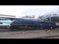 rain streak 60007 sir nigel gresley races along the ecml 02 03 2024