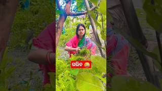 ସ୍ବାମୀ କୁ ଗରିବ କଲା କିଏ 😜 / dipanjali / Dibyacomedy #shorts