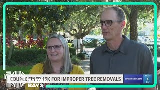 Couple fined $15K for removing oak trees in Pinellas County