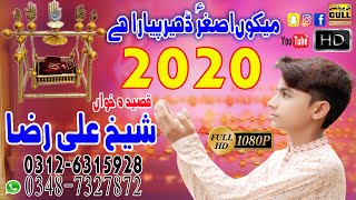 New Manqabat 2024 | Mako Ashgar Dheer Piyara Hay By Sheikh Ali Raza New Qasida 2024