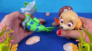 Unboxing Paw Patrol |Best Learning Video | Rocky, Skye and Zuma at beach