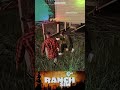 ranch simulator shorts