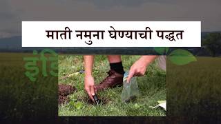 माती परीक्षणासाठी नमूना कसा गोळा करावा? | How to collect soil sample