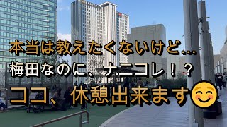 【大阪ステーションシティ】風の広場で、ナウシカしましょう(笑)