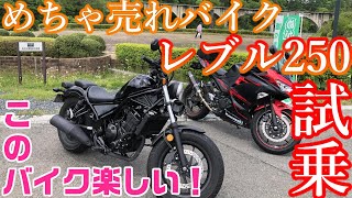 【試乗】レブル250はNinjaより○○が優れていた！【モトブログ】【Ninja250】