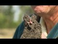 Healthy Soil Vs. Drought