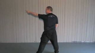 24 Form Tai Chi, Lesson 3, Part the Horse's Mane Left