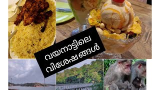 അടിച്ചു പൊളിച്ച വയനാട് ട്രിപ്പ്/vayanad tripp/full vlog/kichu's world