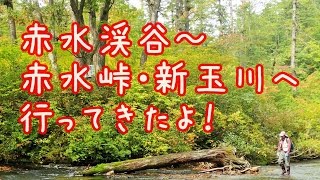 赤水渓谷へ行ってきたよ！