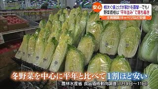 物価高続くも野菜価格は安定か…おすすめは「鍋」【福島県】 (2023年1月23日)