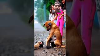 डॉग और अन्य लोग #dog #doglover #love #pets #puppy #funny #damhaitohashiroklo #comedy