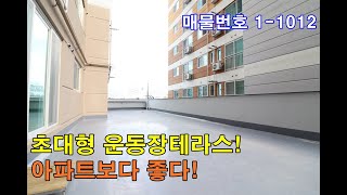 군포신축빌라분양 39평 1호선 군포역세권+초대형 운동장테라스+큰방3개+대형 주방+지하3층 자주식주차+아파트보다 좋다!