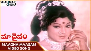 Maa Daivam Movie || Maagha Maasam Video Song || NTR, Jayachitra || Shalimarcinema