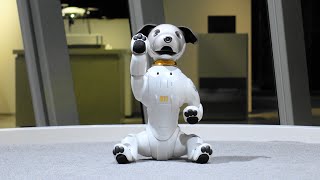 aibo × 仮面ライダーゼロワン 出演記念特別ふるまい「ゼロワンに変身！」