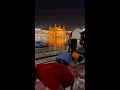 golden temple sewa darbar sahib🌸 ytshorts