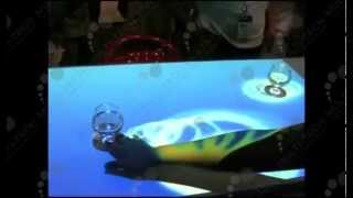 Multi-Tech Interactive Bar System