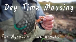 Fly Fishing Utah's Most Aggressive Cutthroats With Mice