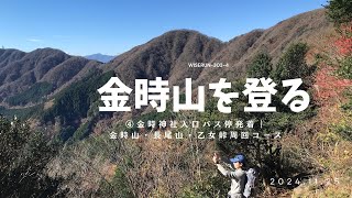 【神奈川県】 金時山を登る　④金時神社入口バス停発着｜金時山・長尾山・乙女峠周回コース