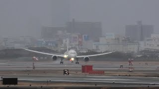 20.1.27 伊丹横風 ノーフレアでゴーアラウンド～再着陸(JAL120便787-800 from TOKYO)