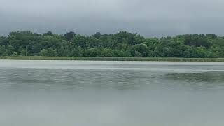 Lake Langdon Loons