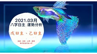 2021.03月八字日主運勢分析，戊日主、己日主 3/5-4/3 | 林子玄