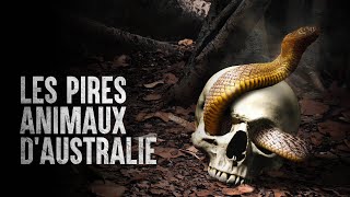 Comment survivre aux animaux d'Australie les plus mortels