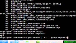Difference between environment and shell variables in Unix