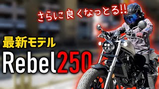 【新型レブル250】日本で一番売れたアメリカンバイクに試乗してみた【レビュー・インプレ】