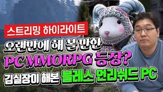 오랜만에 해 볼 만한 PC MMORPG 등장? 김실장이 해본 블레스 언리쉬드 PC