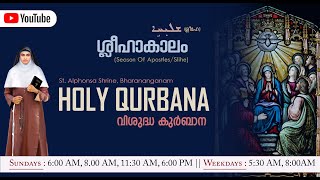 Syro-Malabar H. Qurbana | Fr. Sebastian Vettukallel | 11.00 AM |22/06/2023