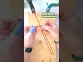 How to Tie Taut Line (MAGNUS) Hitch #shorts #camping #knot #paracord