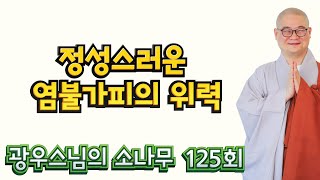 정성스러운 염불가피의 위력 | 광우스님의 소나무 125회