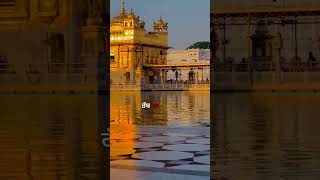 Golden temple #india #punjab #youtubeshorts