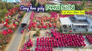 Làng hoa giấy Phú Sơn (Cái Mơn - Bến Tre) rực rỡ khoe sắc đón chào mùa xuân