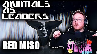 REACTING to ANIMALS AS LEADERS (Red Miso) 🔴🎸👊