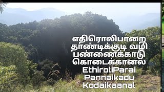 எதிரொலி பாறை, பண்ணைகாடு கொடைக்கானல் (EthiroliParai Pannaikadu Kodaikanal)