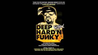 LENIUM FULL SET @ DEEP HARD N' FUNKY MUSIC FESTIVAL 2014