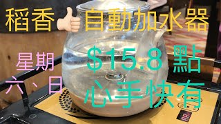 香港稻香酒樓飲茶～星期六、日~最便宜$15.8 / 點心~手快有手慢無，粵式點心😋太美味Yum Cha~Cantonese Dim Sum~Taoheung Restaurant~Delicious