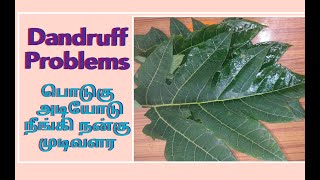 பொடுகு அடியோடு நீங்கி  நன்கு முடி வளர/Dandruff treatment at home / Podukupoka