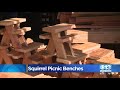 man passing time during pandemic by making squirrel picnic tables