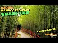 BAGUIO CITY Bamboo Eco Park | Baguio City Tourist Spot Walking Tour (KYOTO IN BAGUIO?)