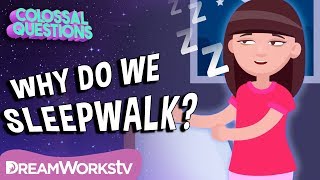 Why Do We Sleepwalk? | COLOSSAL QUESTIONS