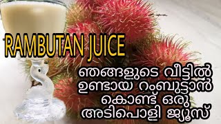 RAMBUTAN JUICE|| റംബൂട്ടാൻ ജ്യൂസ് ||ഞങ്ങളുടെ വീട്ടിൽ ഉണ്ടായ റംബൂട്ടാൻ കൊണ്ട് ഒരു അടിപൊളി ജ്യൂസ്😋😍✌